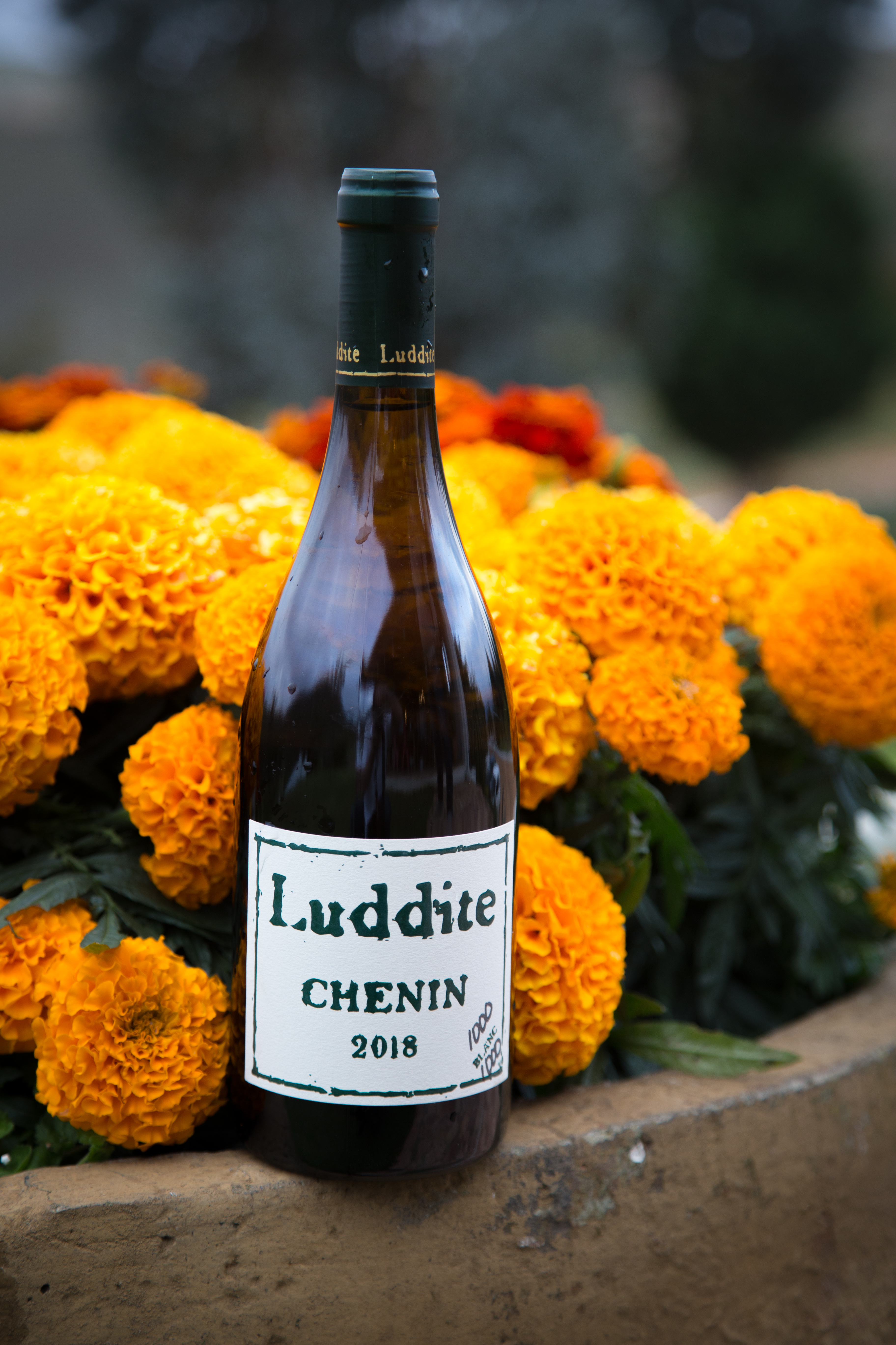 Luddite Chenin Blanc